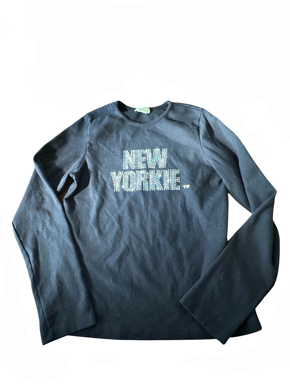 Y2K big bang New Yorkie Long Sleeve “Jazzy park avenue dog”
